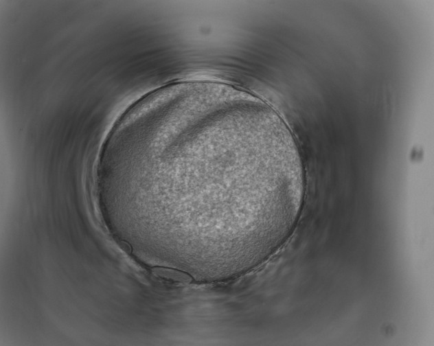 X0000101710289200807241502