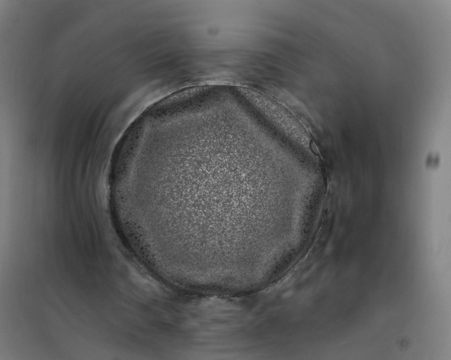 X0000101710290200807241502