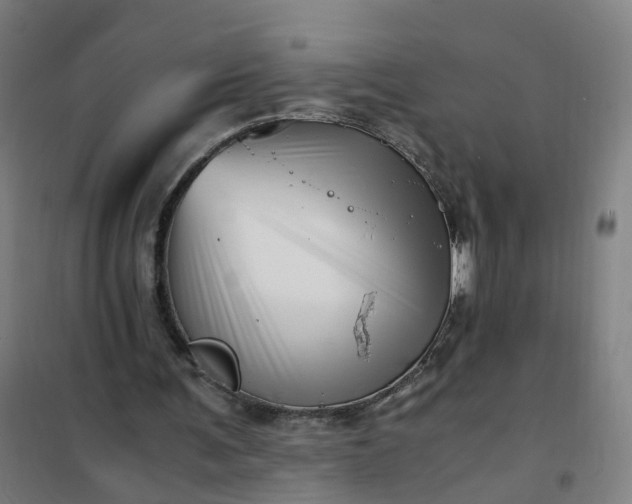 X0000101710291200807241502