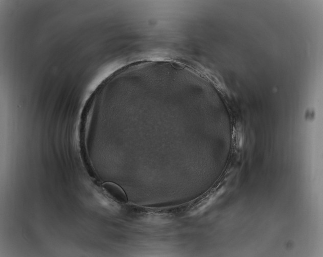 X0000101710292200807241502