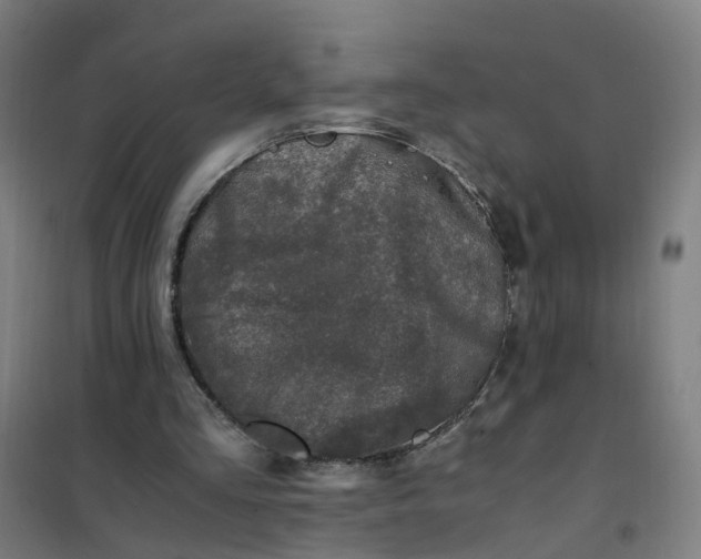 X0000101710293200807241502