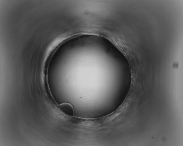 X0000101710294200807241502