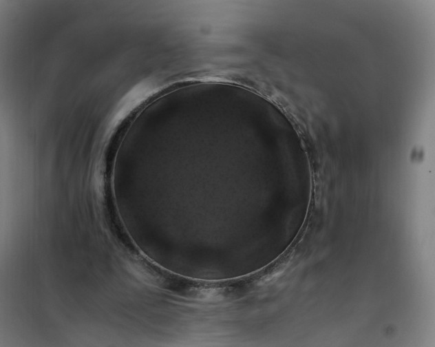 X0000101710295200807241502