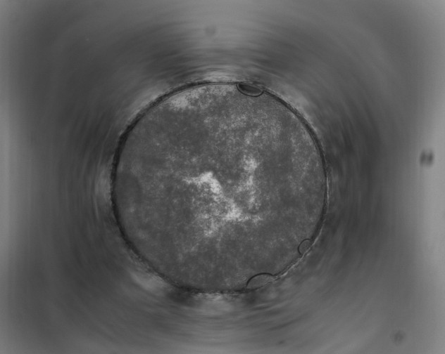 X0000101710297200807241502