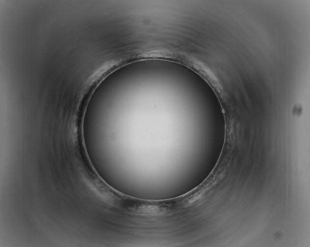 X0000101710298200807241502