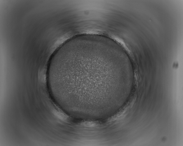 X0000101710299200807241502