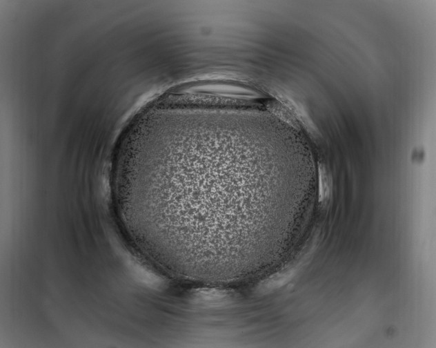 X0000101710300200807241502