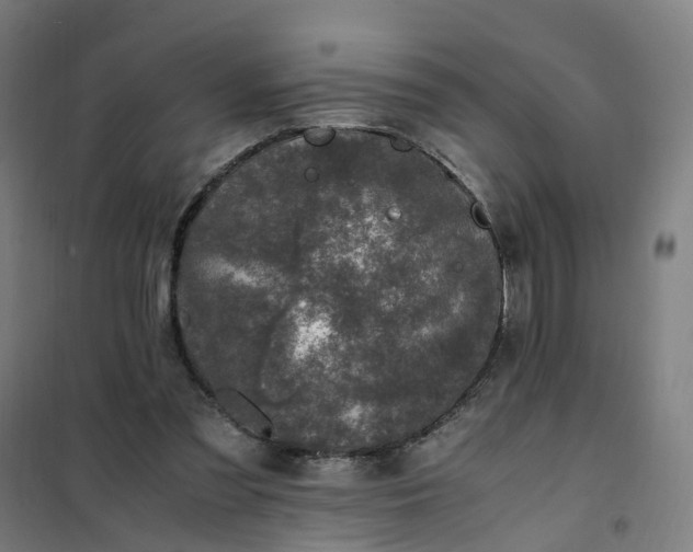 X0000101710301200807241502