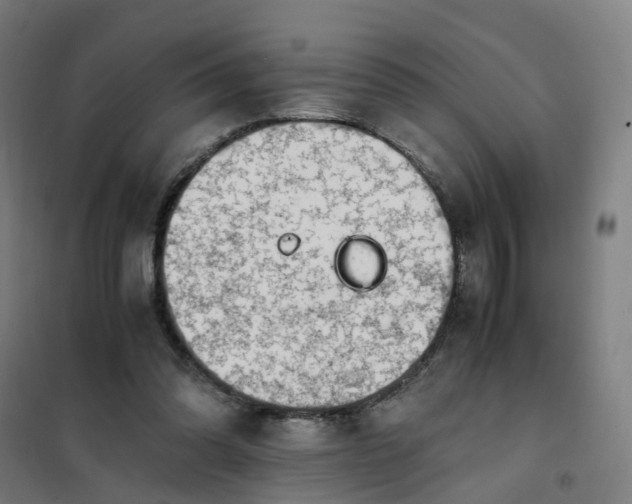 X0000101710302200807241502