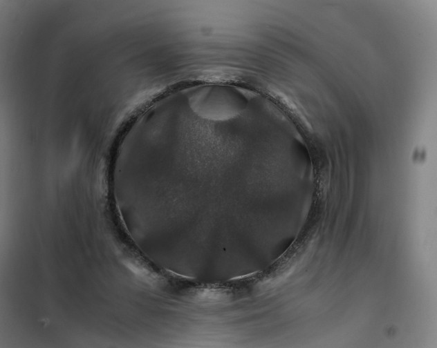 X0000101710303200807241502