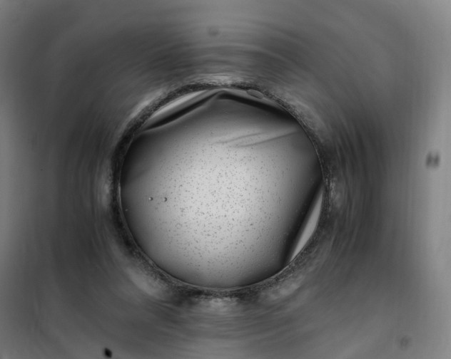 X0000101710304200807241501