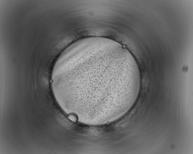 X0000101710305200807241501