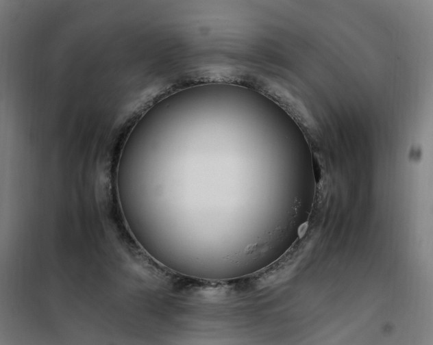 X0000101710306200807241501