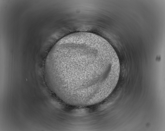 X0000101710307200807241501