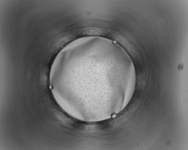 X0000101710309200807241501