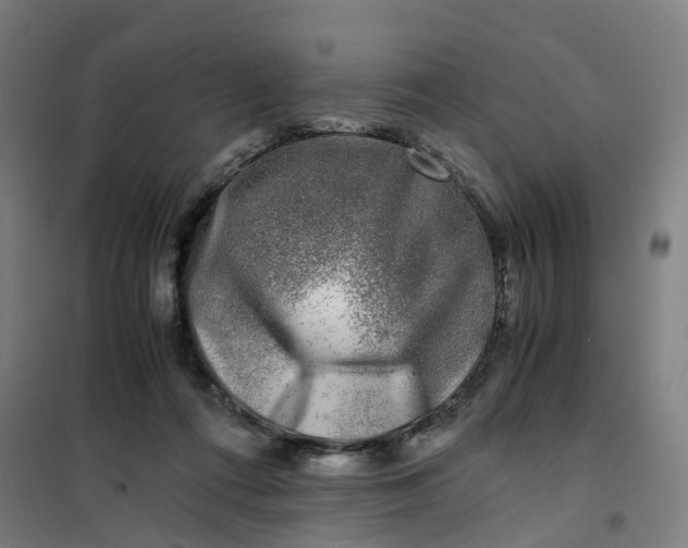 X0000101710312200807241501