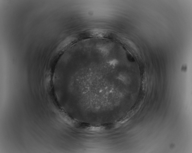 X0000101710314200807241501