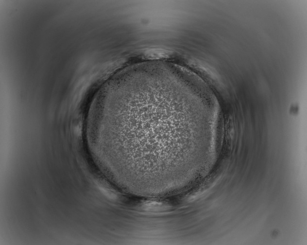 X0000101710315200807241501