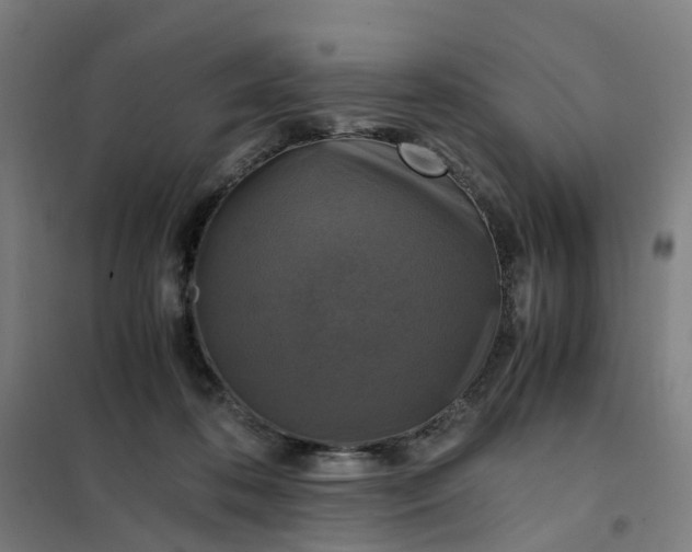 X0000101710316200807241501