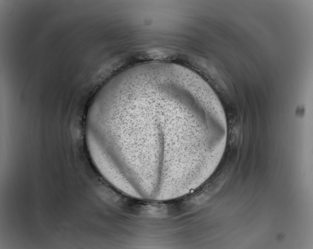 X0000101710317200807241501