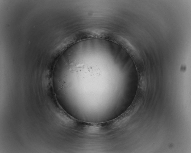 X0000101710318200807241501