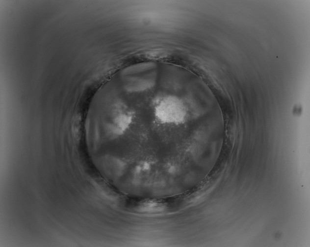 X0000101710319200807241501