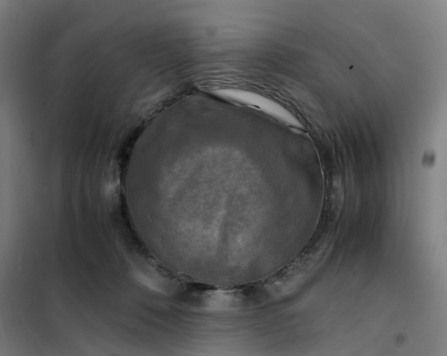 X0000101710320200807241501