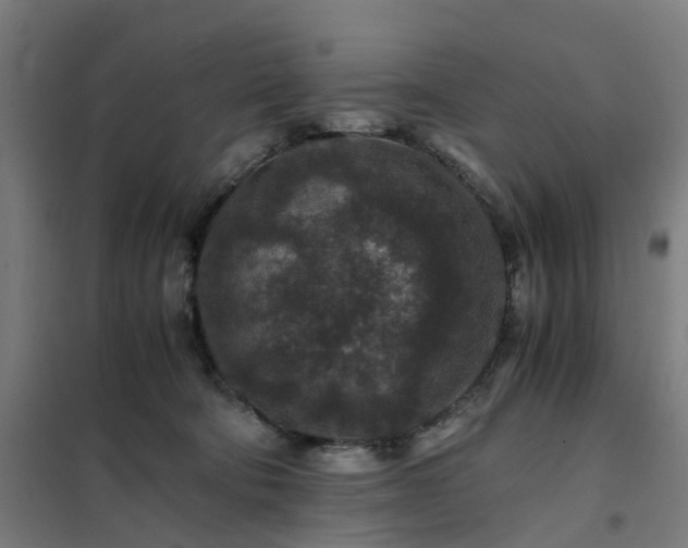 X0000101710322200807241501