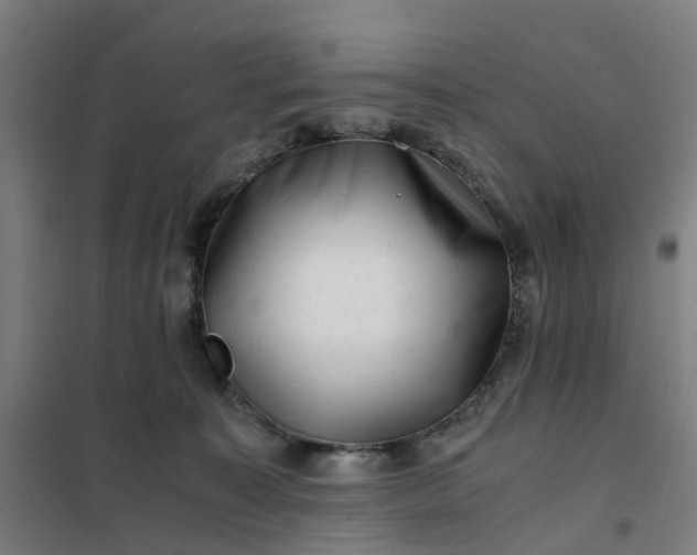 X0000101710323200807241501