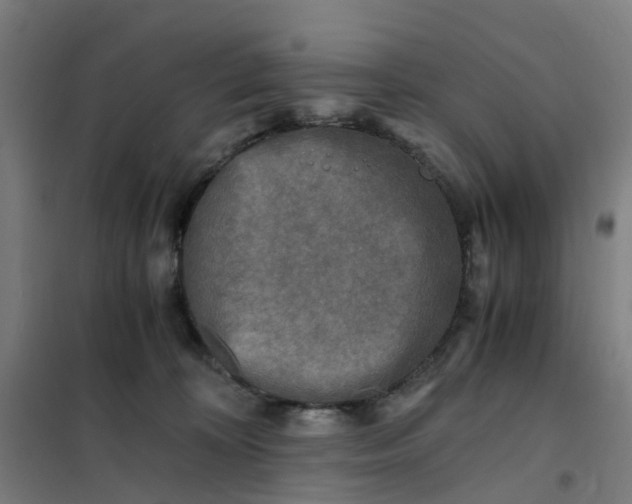 X0000101710324200807241501