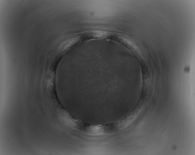 X0000101710325200807241501