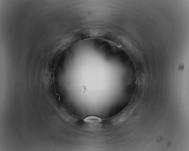 X0000101710327200807241501