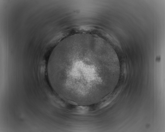 X0000101710328200807241501