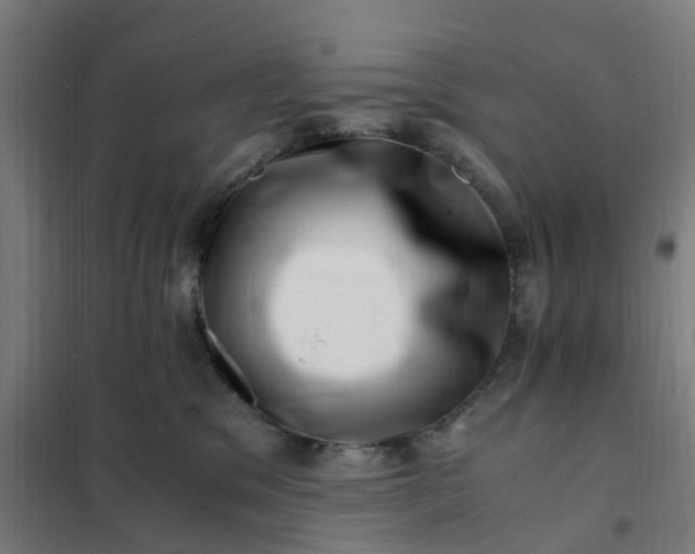 X0000101710329200807241501