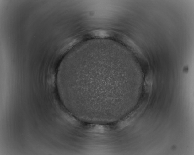 X0000101710330200807241501