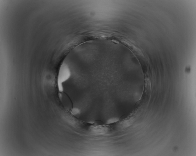 X0000101710331200807241501