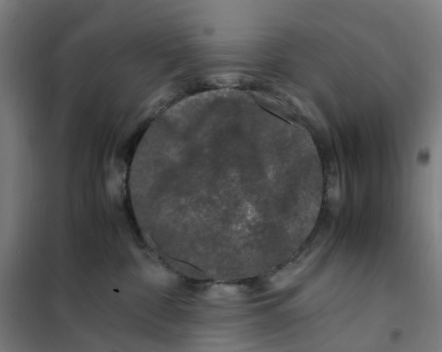 X0000101710332200807241501