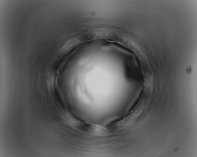 X0000101710333200807241501