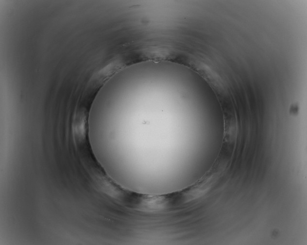 X0000101710334200807241501