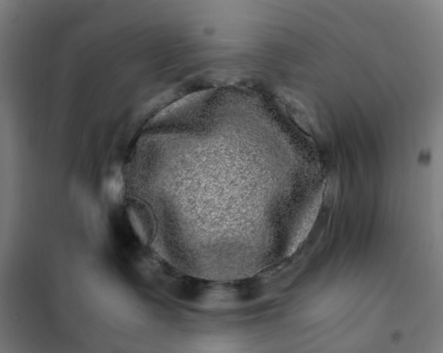 X0000101710335200807241501