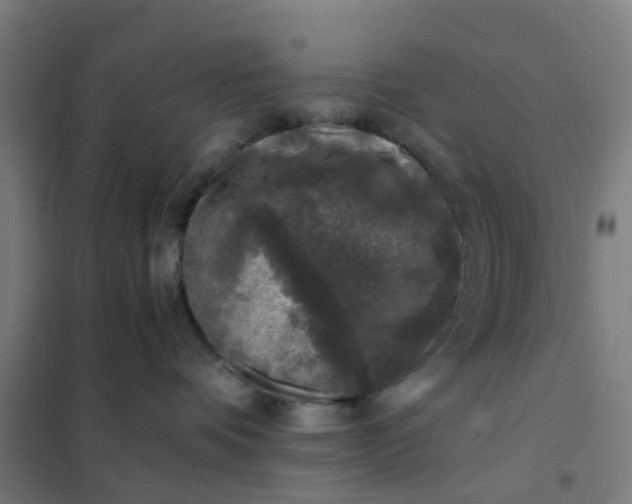 X0000101710336200807241501