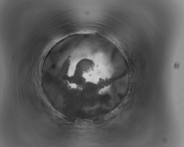 X0000101710337200807241500