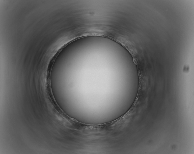 X0000101710338200807241500