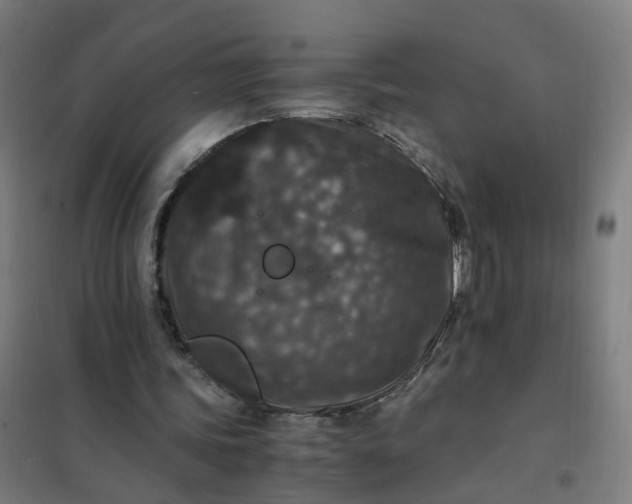 X0000101710339200807241500