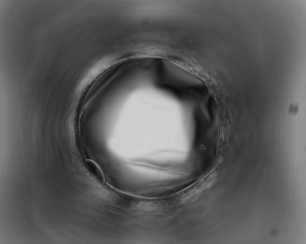 X0000101710341200807241500