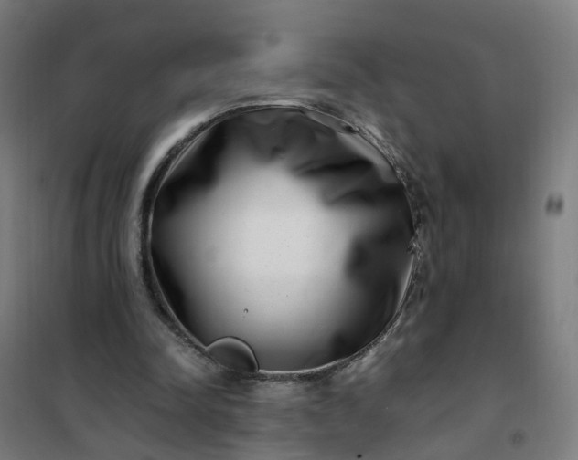 X0000101710342200807241500