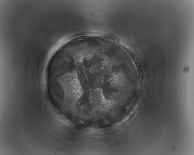 X0000101710343200807241500