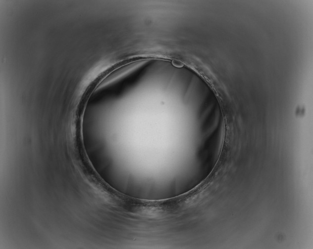 X0000101710344200807241500