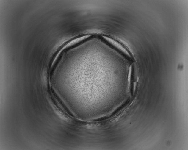 X0000101710345200807241501