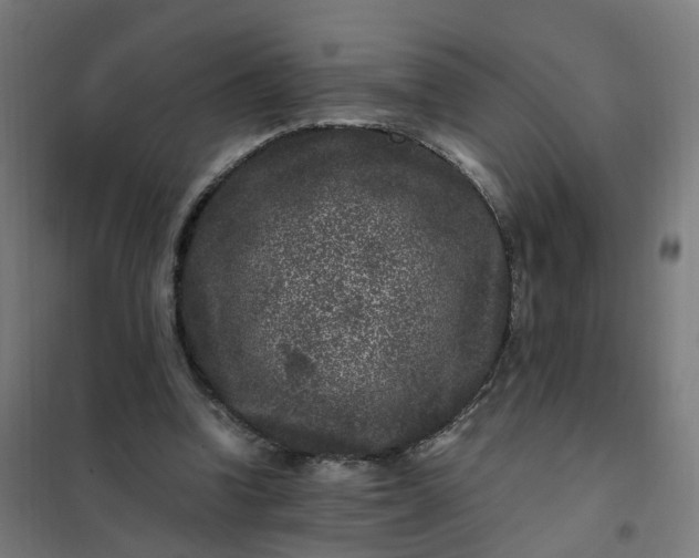 X0000101710346200807241501